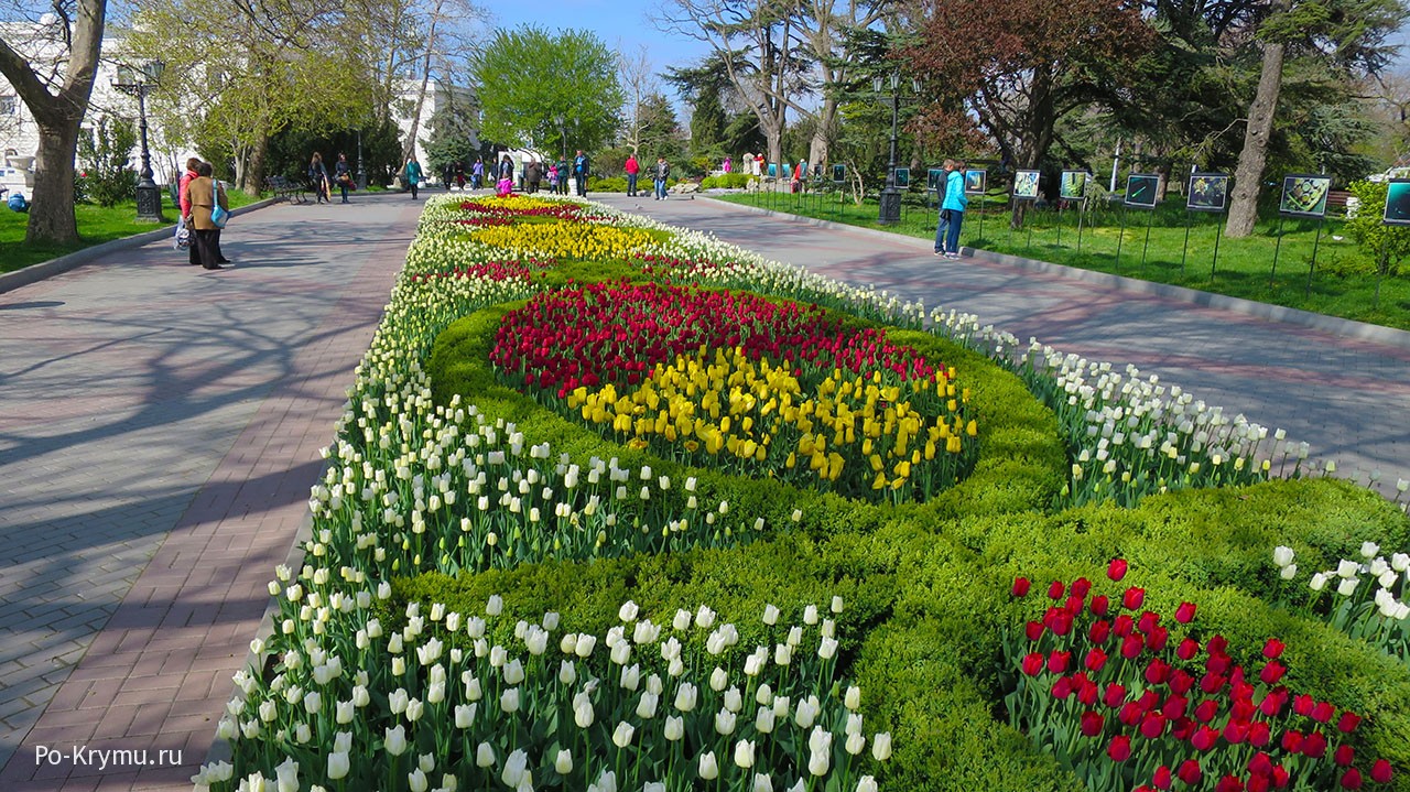 Цветущие улицы крымских городов