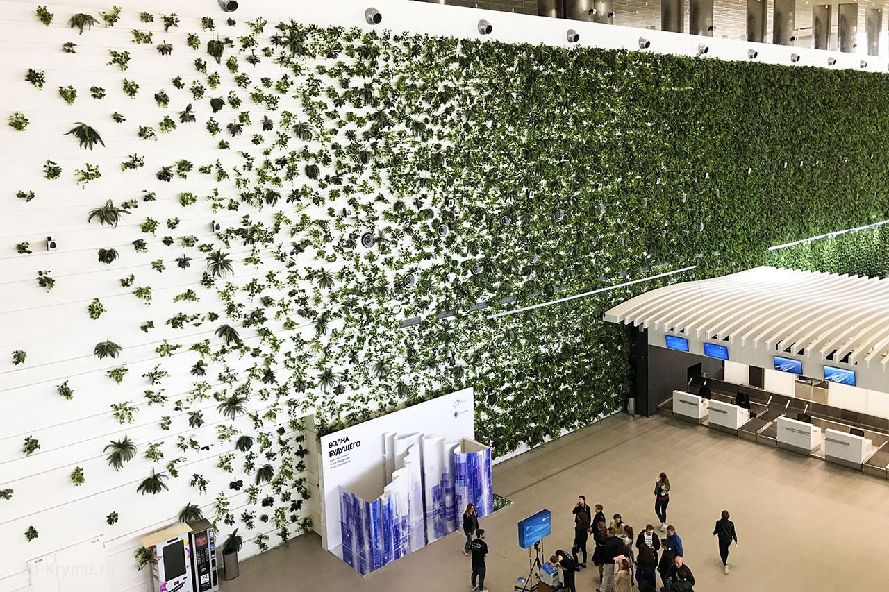 Зеленая стена из живых и искусственных растений