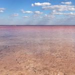 Розовое озеро Сасык-Сиваш у Евпатории