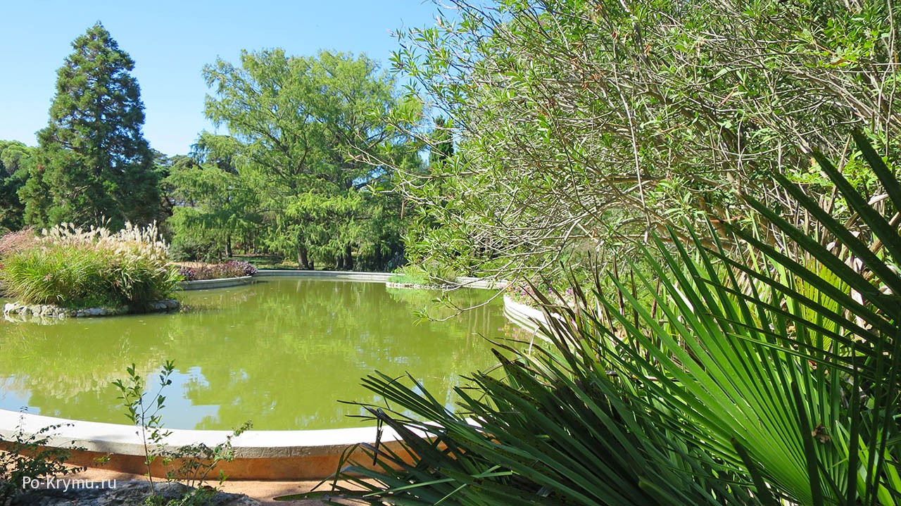Один из парков Никитского Ботанического сада - Монтедор.