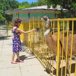 Зоопарк в Детском парке Симферополя