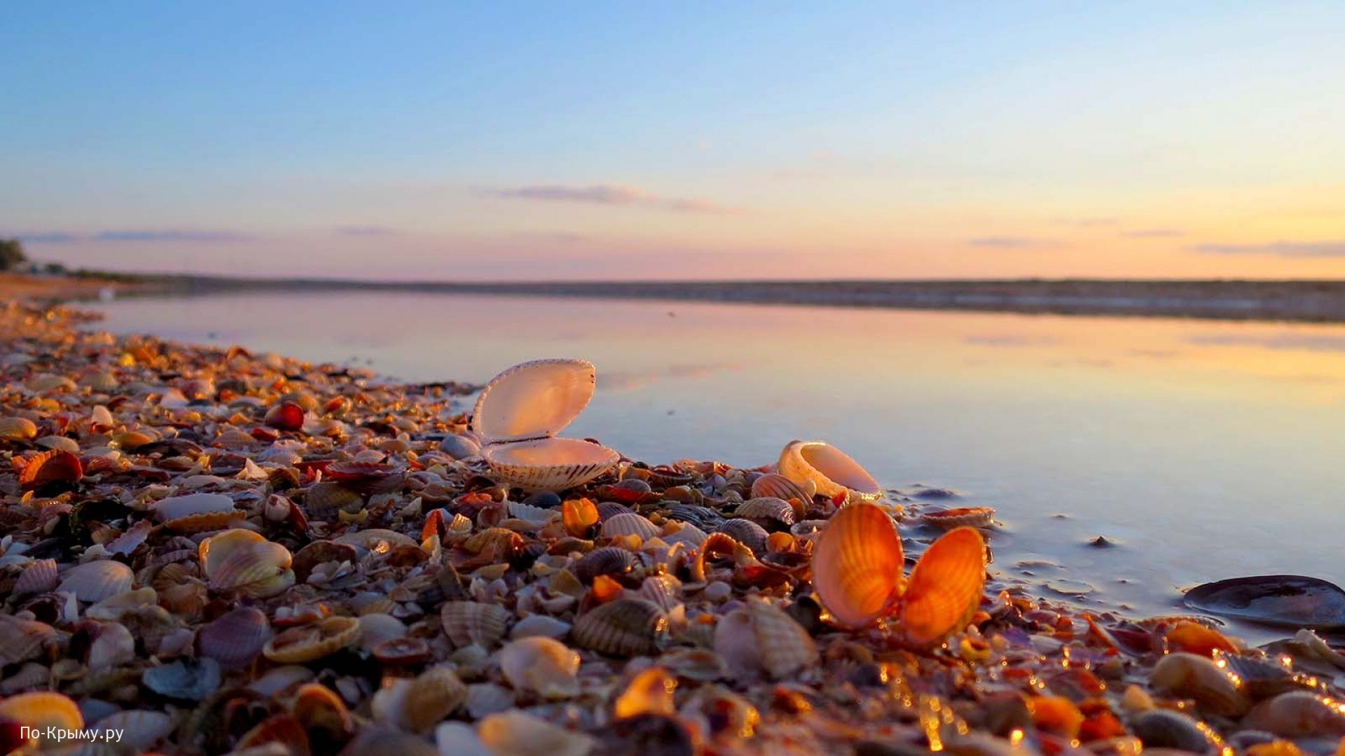 Ракушечный пляж Азовского моря