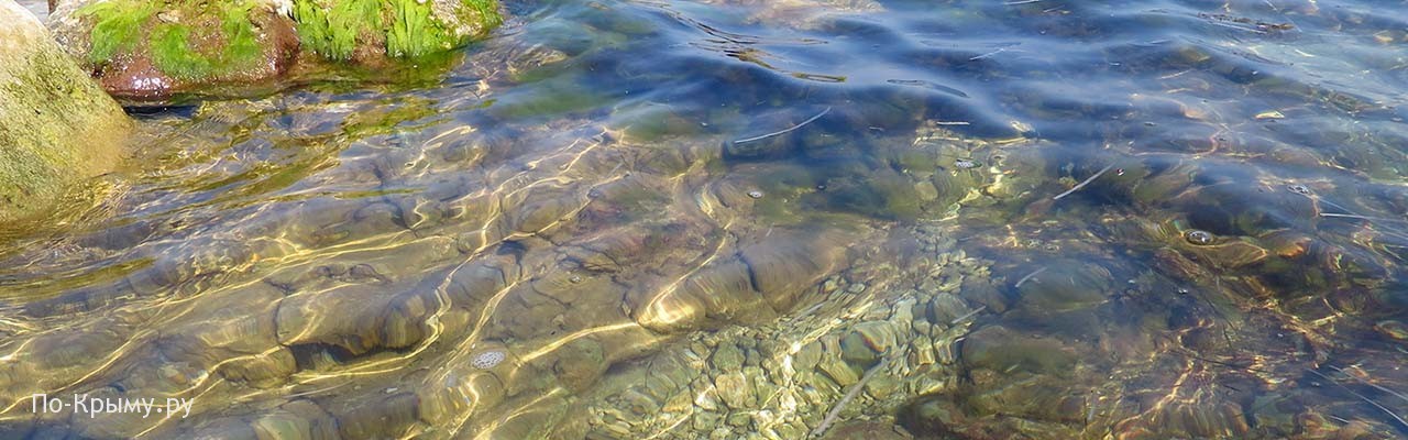 Чистая вода лучшего дикого пляжа Севастополя