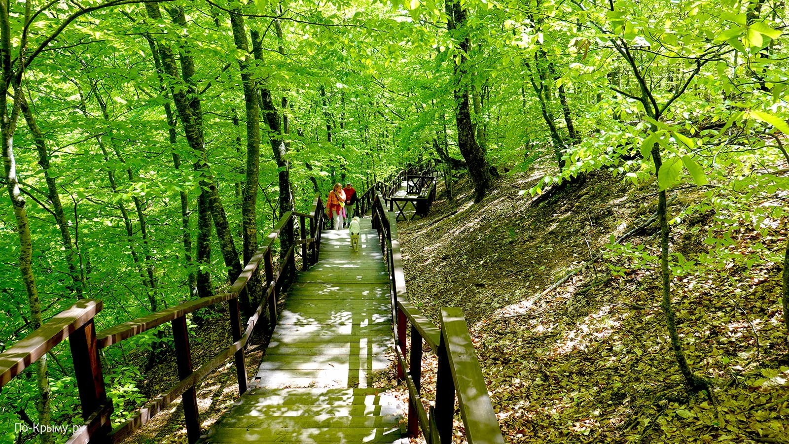 Ущелье Хапхал, водопад Джур-Джур, Крым