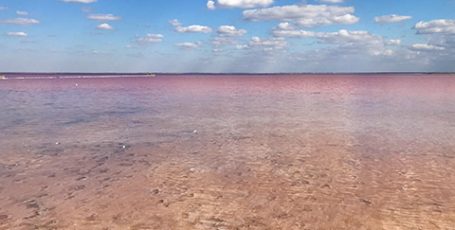 Розовое озеро Сасык-Сиваш у Евпатории